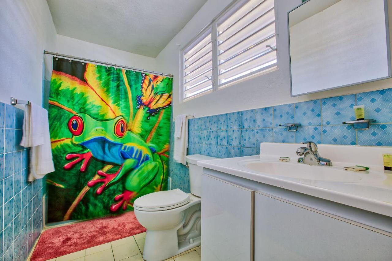 Coconut Palms Inn リンコン エクステリア 写真