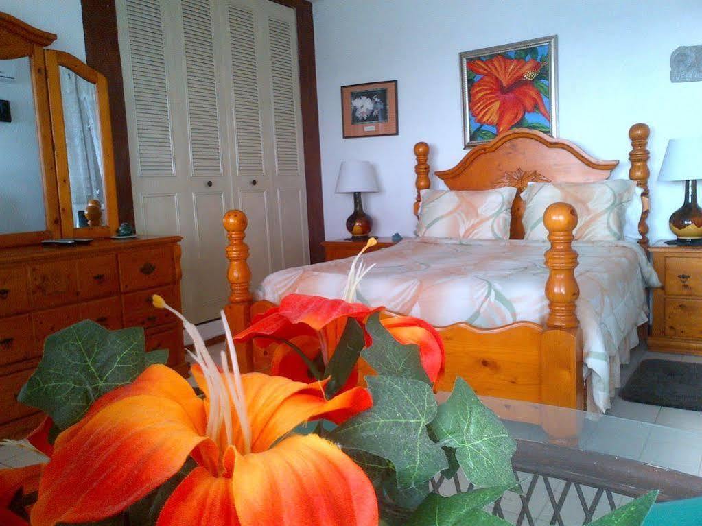 Coconut Palms Inn リンコン エクステリア 写真