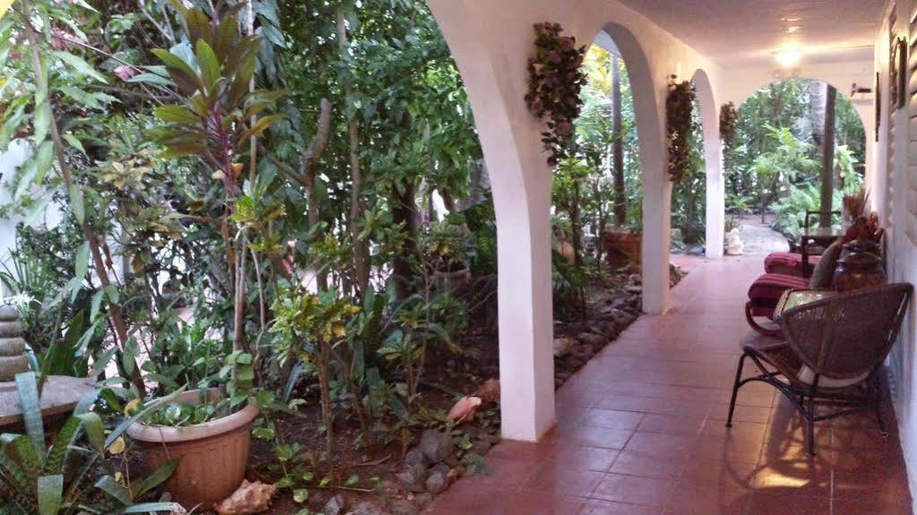 Coconut Palms Inn リンコン エクステリア 写真