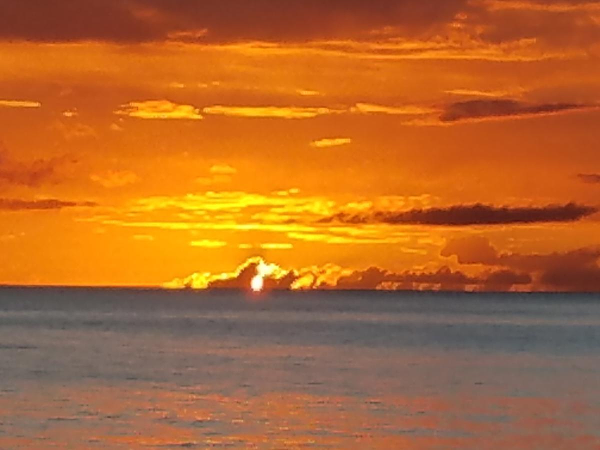Coconut Palms Inn リンコン エクステリア 写真