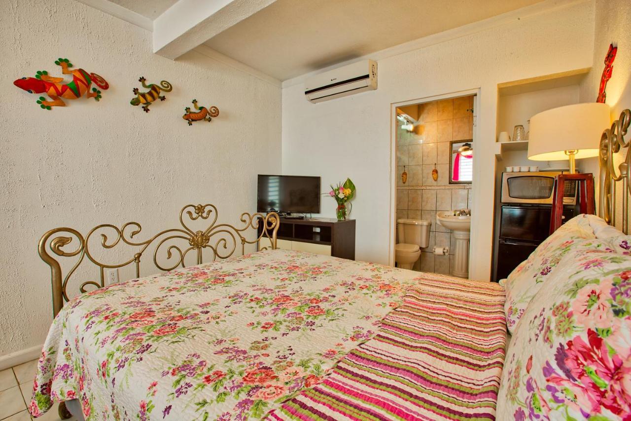 Coconut Palms Inn リンコン エクステリア 写真