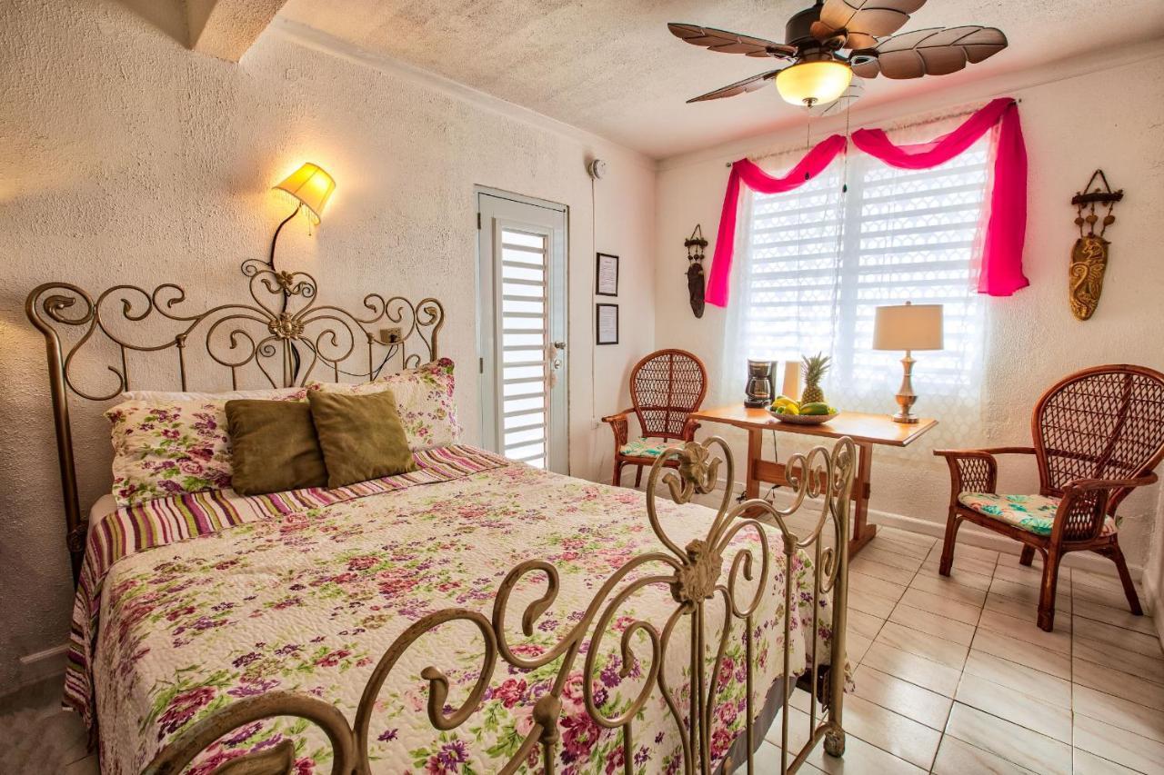 Coconut Palms Inn リンコン エクステリア 写真