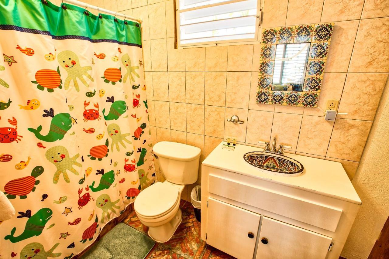 Coconut Palms Inn リンコン エクステリア 写真